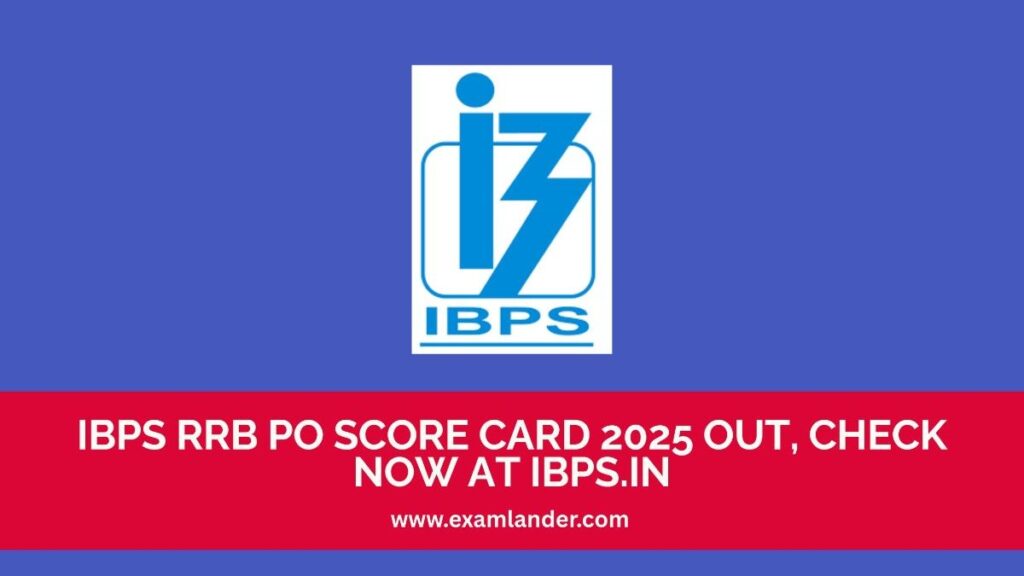 IBPS RRB PO Score Card 2025 Out, Check Now at ibps.in