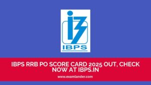IBPS RRB PO Score Card 2025 Out, Check Now at ibps.in